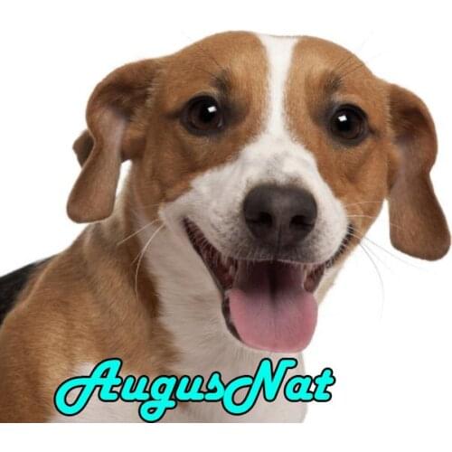 Full round diamond painting jack russelln diamannd embroidery dog 5d diy daimand mosaic animals diamand painting new arrival