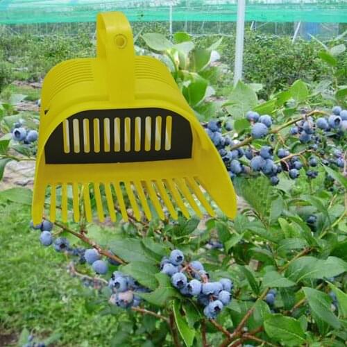 Picker Orchard Fruit Picker Garden Tool Blueberry Picking Tool Fruit Basket Gardening Plant Fruit Harvest Tool