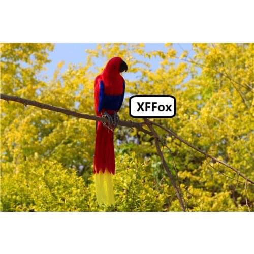 Big real life red&blue parrot model foam&feather yellow tail parrot bird gift about 60cm xf2628