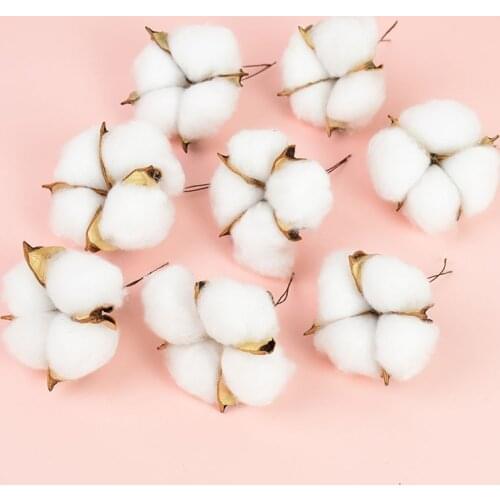 5/10Pcs Natural White Four-petal Flower Heads 6cm Dried Cotton Flower DIY Wreath Craft Vintage Wedding Party Home Decoration
