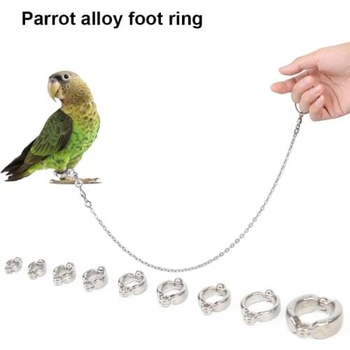 Bird Pigeon Parrot Leg Ring Alloy Outdoor Flying Training Pet Birds Pigeon Stainless Steel Threaded Foot Rings Animal Supplies
