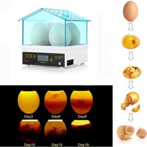 4pcs Incubator for Eggs Fully Automatic Turning Brooder Chicken Quail Egg Incubators 98%Hatching Rate Mini Egg Incubator Machine
