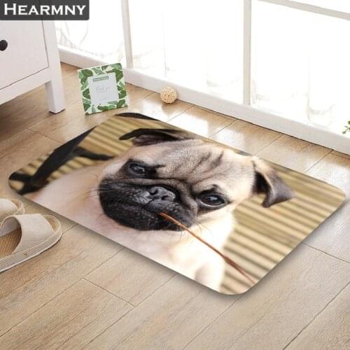 Nice Pug Animal Doormat Outdoor Floor Mat Home Creative Mat Super Soft Absorbent Bathroom Door Entrance Mat 40X60cm,50x80cm