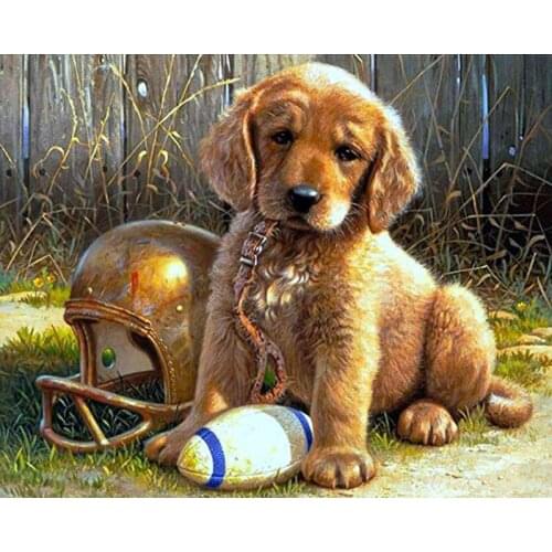 5D Diamond Painting animals Diamond mosaic embroidery Cross stitch Dog Pictures Of Resin diamond draw home decoration painting
