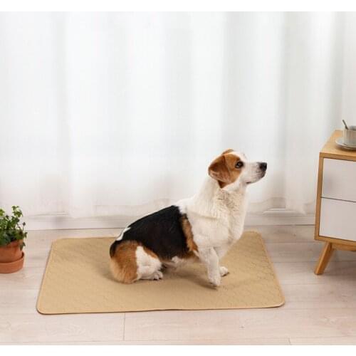 Pet Diaper Repetitive Absorbent Dog Diaper Training Dog Diaper Waterproof Washable Diaper Dog Rabbit Cat Diaper