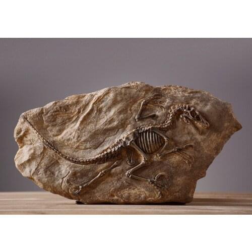 Resin Simulation dinosaur fossil creative hand made home furnishing decor Jurassic Park Private museum crafts