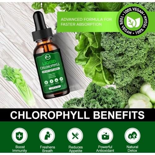 Minch Natural Chlorophyll Liquid Drops Alcohol & Gluten Free Liquid Chlorophyll Energy Supplement Immune Support Skin Care Oil
