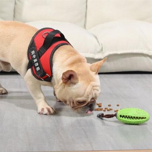 Dog Toys Spilled Food Toothbrush Pressure Relief Elastic Rubber Ball Pet Molar Cleaning Ball Anti-bite Oval Ball Dog Chewing Toy