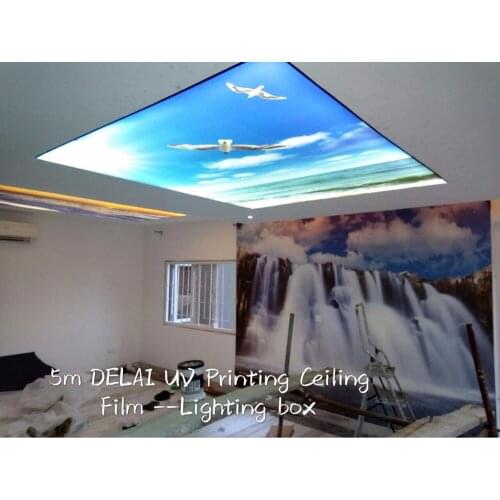 Blue Sky with Pigeon Printing Ceiling Film with harpoon