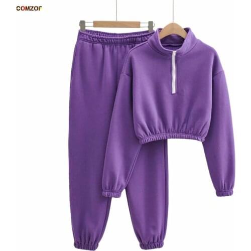 INS Winter Thick 2 Piece Set Women Fleece Short Hoodies+Sweatpants Crop Top Casual Clothing Pullover Zipper Chandal Mujer