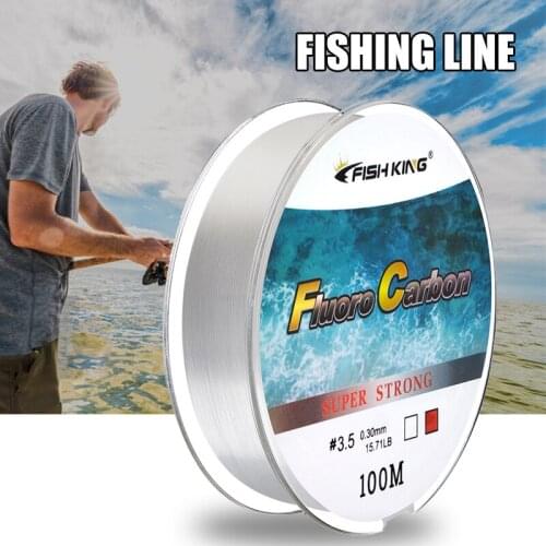 Newly 100m Nylon Fishing Line Anti Curl Super Strong Pull Cut Water Quickly Wear Resistant Bite Resistant Fishing Line