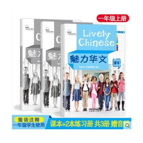Charming Chinese 1st grade textbook plus exercise 2 books foreigners learn Chinese series language materials children literature