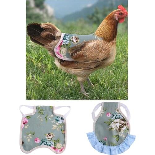 1pc Hen Apron Poultry Hen Saddle Apron Feather Protection Clothes Chicken Protector Hen Dress