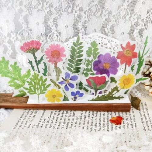 40pcs/pack Colorful Dry Flower Series Sticker Hand Account Photo Album DIY Decorative Sticker Pack for Scrapbooking Journaling