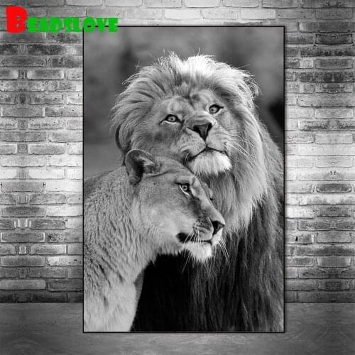 Black white African Wild Lions DIY diamond painting,full,square,round animal diamond embroidery mosaic art home painting B90