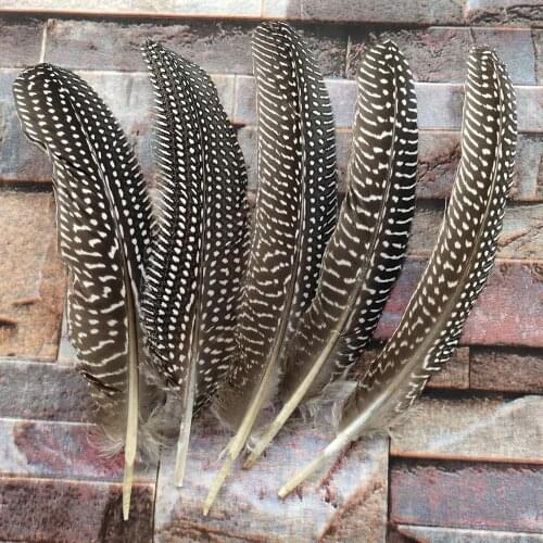 Wholesale 1000pcs Natural Pearl Chicken Feathers 6-8inch/15-20cm DIY Jewelry Hat Craft Making Decoration Accessories