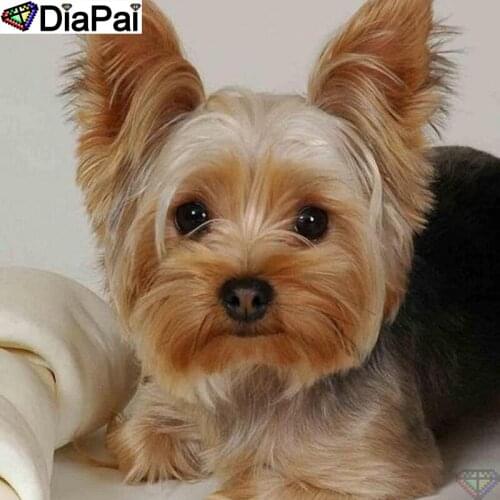 DiaPai 5D Diamond Painting Full Drill Diamond Embroidery "Animal dog" Picture Of Rhinestone Handmade Home Decor A25153