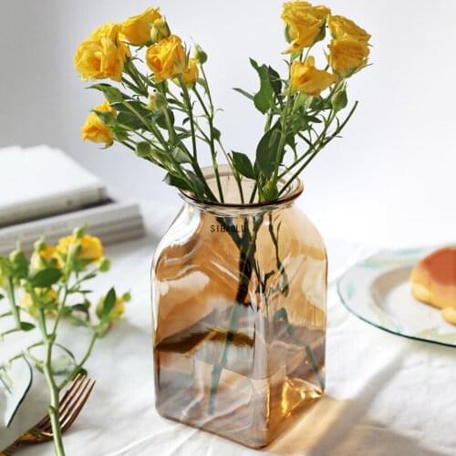 Multicolor Glass Vase for Living Room Dried Flowers Nordic Transparent Europe Home Decoration Home Flower Tabletop Vases
