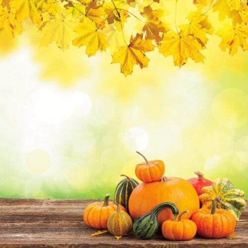 Autumn Pumpkin Leaf Wood Board Newborn Baby Portrait Photography Backdrops Photo Background Photozone Photophones For Photos