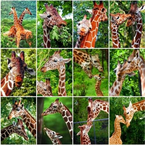 HUACAN Painting By Numbers Giraffe Hand Painted Wall Art Unique Gift On Canvas Picture By Numbers Animal Childrens Room Decor