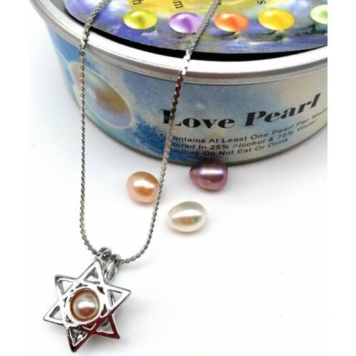 Hongye Meteor DIY Cage Holder Natural Freshwater Pearl Wish Pearl Pendant Handmade Necklace Customized Jewelry Oyster for Women