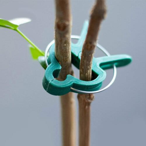 Plant Gardening Clip Flower Fixed Garden Plant Clip Set Plant Grafting Pile Connector Clip Plant Bracket Clip