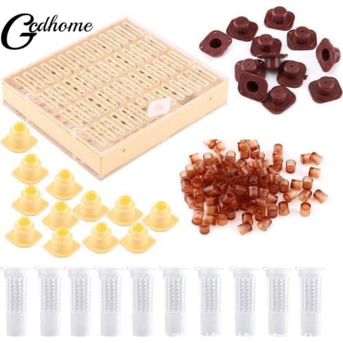 1 Set Bees Tools Cages King Queen Rearing Cupkit System Bee Beekeeping Catcher Box Cell Cups Cage Nicot Complete Kit Apicultura