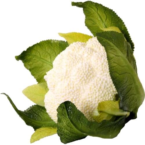 Euro Flora Ornamental Vegetables