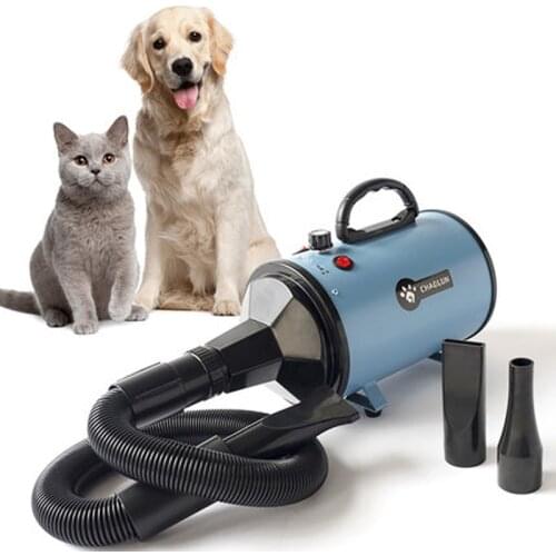 Pet Hair Dryer Blower Dog Grooming Dryer High Power Mute Water Blower Hair Blower Large Dog Hair Blowing Dryer