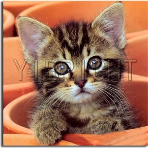 5D DIY Diamond embroidery Cross stitch color cat Full Square Diamond mosaic puppy cup Full Round Diamond painting animal