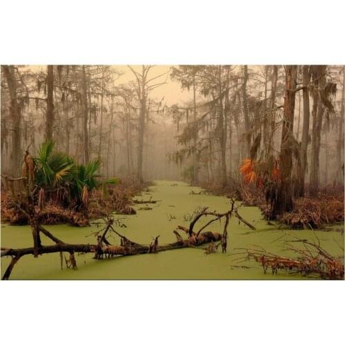 1 Panel HD printed canvas painting Foggy forest canvas print art Modern home decor wall art pictures for living room Framed