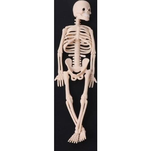 Skeleton Human Model Skull Full Body Mini Figure Toy Phone Hanger Halloween