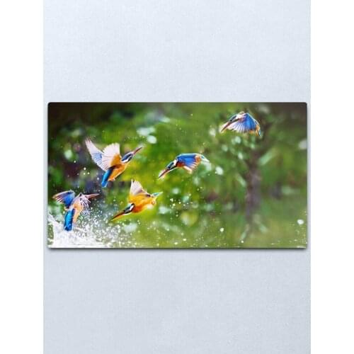 Cool Bird Tshirt Metal Print Tin Sign Vintage Metal Wall Sign Plaque Retro Garage Shed Car