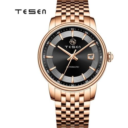TESEN Top Brand Luxury Men Watches Automatic Mechanical Blue Watch Men 50M Waterproof Casual Business Stainless Steel Wristwatch