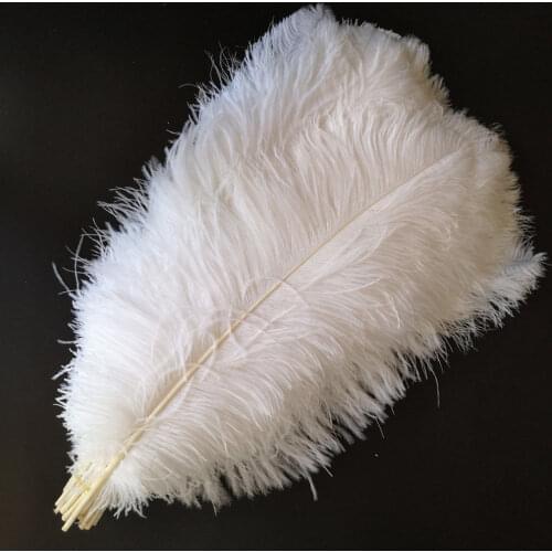 10pcs/Lot Natural White Ostrich Feathers For Crafts Plumes Wedding Centerpiece Party Home Decoration Plumas Carnival Accessory