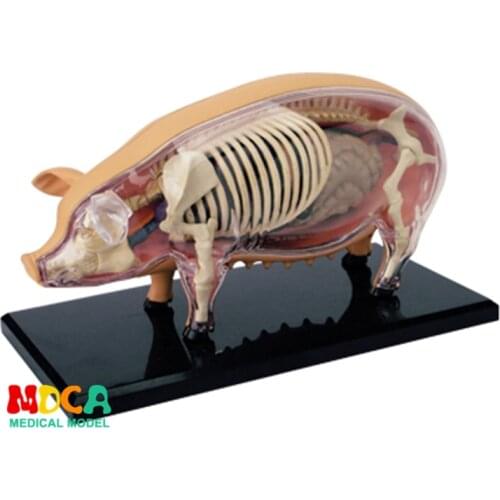 Fashion Educational Designer Toys 4D Animals Puzzle Master Simulation DIY Anatomical model for Children mkd3 Pig SOW