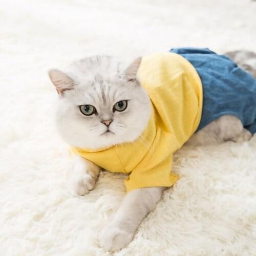 Pet Cat Clothes Four-legged Clothing Spring And Autumn Clothing For Cats Small Dogs Dogs Festival Clothing Pomeranian Teddy Dog