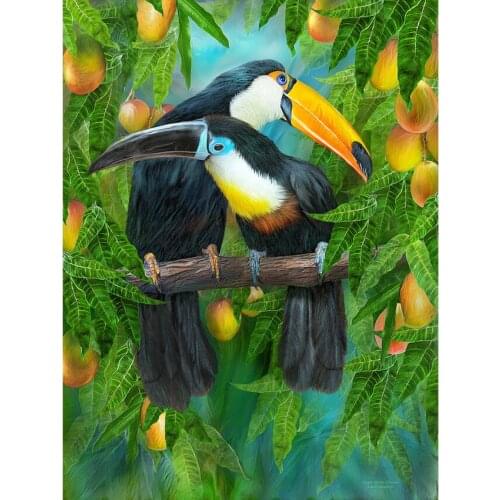 Toucans Diamond Embroidery Animal Cross-Stitch Kits Pattern 5D DIY Diamond Painting Needlework Crafts Full Round Rhinestone