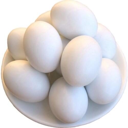 Gresorth 9pcs Fake Wood Eggs Decoration Artificial Play Kitchen Food Kids Toy for Laying Chicken Coop - White