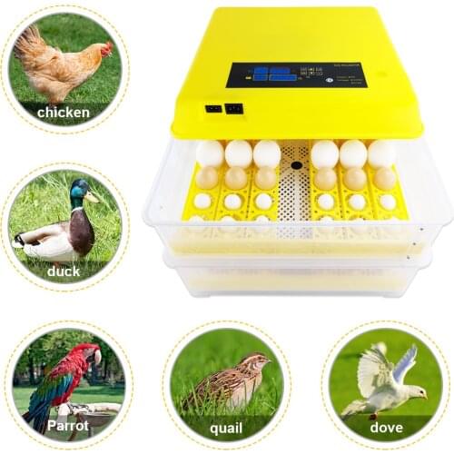 Home-Intelligent -Broodr Mini 96Eggs Hatcher Full Automatic Professional Incubator Cheap Sales