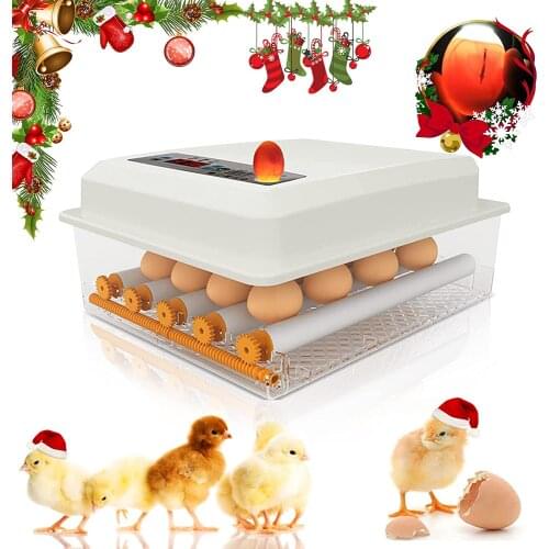 Egg Incubator Household 36 Eggs Digital Mini Intelligent Automatie Incubator For Hatching Duck Goose Quail Chicken Pigeon Eggs