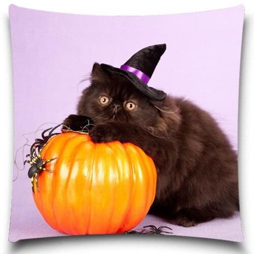 Halloween pumpkins and black cats Throw Pillows Case Pillow Covers Vintage Home Decorative