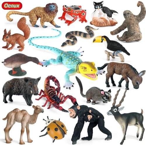 Oenux Simulation Wild Animal Chimpanzee Tree Sloth Lizard Squirrel Toucan Cat Model Action Figures Miniature Educational Kid Toy