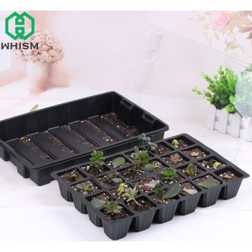 WHISM Seeds