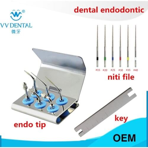 Dental ultrasonic endodontic tips endo tip teeth whitening kit endodontic root canal files for SATELEC WOODPECKER handpiece