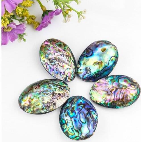 Double Side Natural Abalone Shell Bead Charms Pendant Mother of Pearl Shell for Jewelry Making DIY Necklace Bracelet Accessories