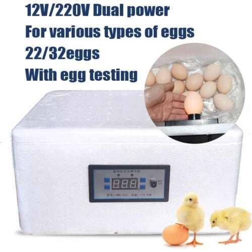 25%,EPS Energy-saving Mute Bionic Water-bed Incubator 22 Eggs 12V/220V Mini Thermostat Hatcher Portable Incubation Tools