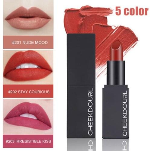 CHEEKDOURL 5 Colors Matte Lipsticks Waterproof Matte Lipstick Lip Sticks Cosmetic Easy to Wear Matte Makeup Lipstick