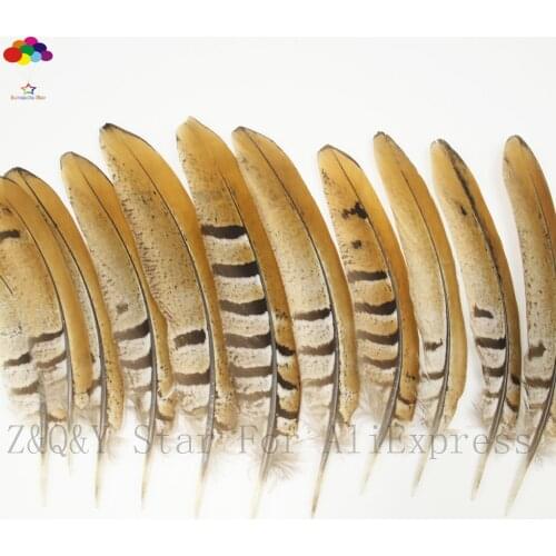 Wholesale 20-30CM (8-12 inches) natural pheasant chicken tail 20-50PCS DIY craft jewelry dream catcher material feather