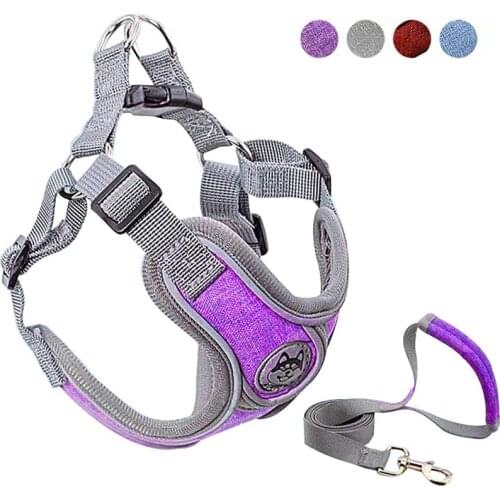 Украшения для животных BOUSSAC China At AliExpress